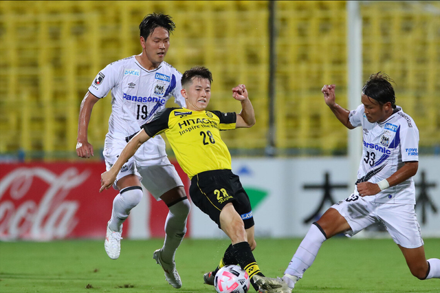 名人评价战争与和平